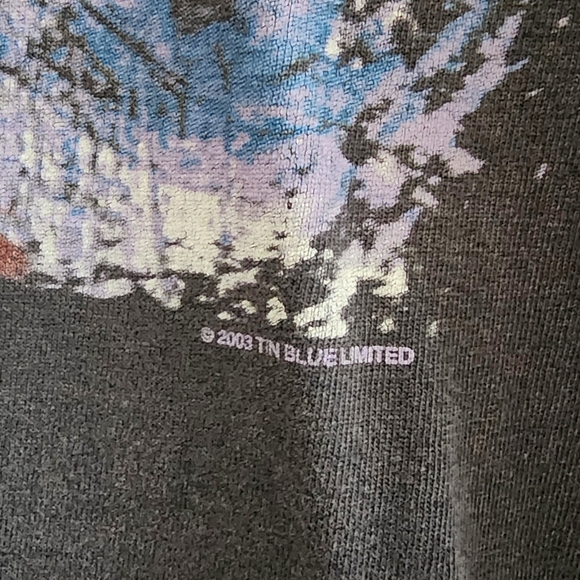 2003 Pink Floyd The Wall band tee. Tin Blue LTD. Distressed. Sz. LG. - Picture 3 of 3